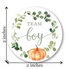 Greenery Pumpkin Gender Reveal Stickers - 40 Labels (20 of
