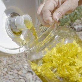 Aromatics International Trauma Oil1fl-oz