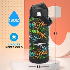 Ntswasd Boys Water Bottle with Straw,18 oz Kids Insulated Cups with Stainless Steel Leak Proof for School,Sport&Travel（Dinosaur）