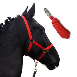 Pferdelinis Foal Halter with Knitted Halter for Wooden Horse - Foal Halter 2-Way Adjustable on Chin Strap and Headpiece (Foal, Red)