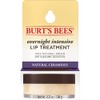 Burt's Bees Lip Care Easter Basket Stuffers, Moisturizing Overnight Intensive