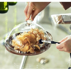 FRUNEP Smoking Dome Transparent Resin Ceiling Cover Simple Cold Smoking Method