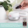 SpaRoom Aromatherapy 100% Pure Undiluted Essential Oil, Escape Cedar Floral