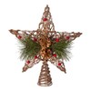 Kurt S. Adler Kurt Adler 11-Inch Natural Star with Pinecones