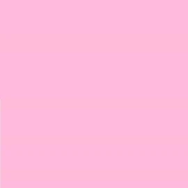 Pack of 3 LEE No. 153 Pale Salmon - 24 x 24 cm Transparent Heat Resistant Coloured Film for Photo Studio PAR 64 Headlight - Gel Colour Filter Film (Pack of 3, Lee 153 Pale Salmon)