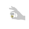 Westinghouse 0362200, 25 Watt, 120 Volt Frosted Incand R14 Light