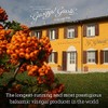 Giuseppe Giusti Fig Balsamic Vinegar - Flavored Balsamic Vinegar of