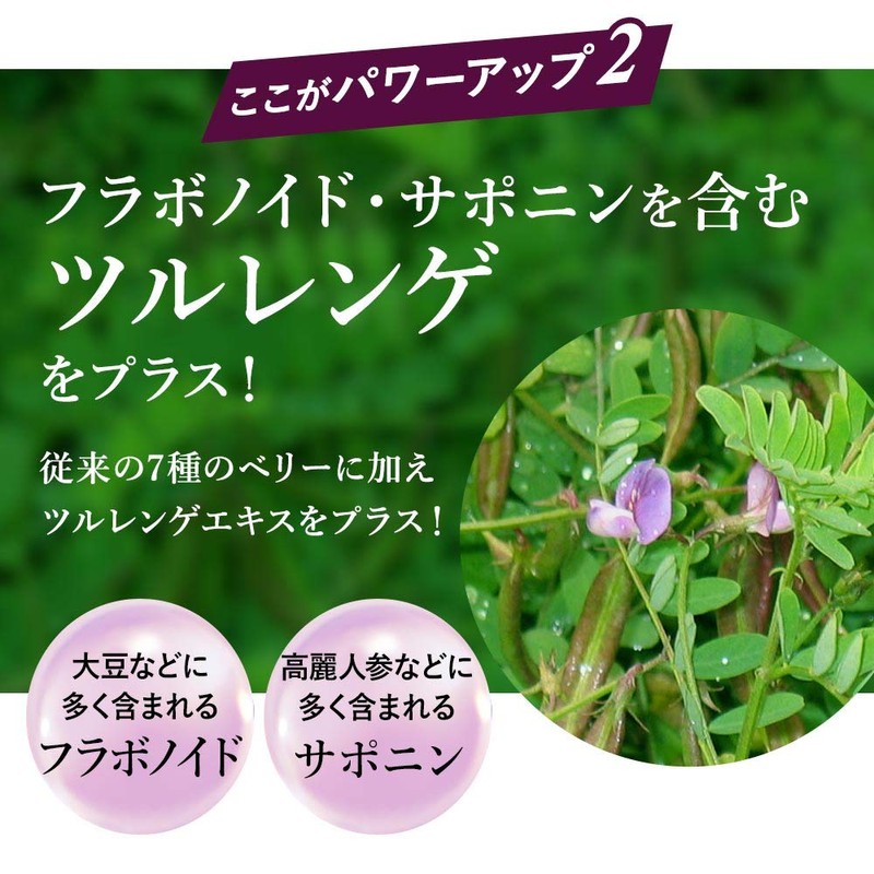 ogaland Black Cassis (90 Capsules/About 3 Month Supply), Beauty Support