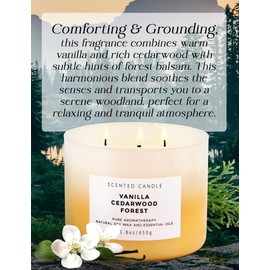 Vanilla Cedarwood Forest 3-Wick Candle for Home - Natural 3 Wick Soy Candle 15.8 oz - Summer Night Scented Candle, Aromatherapy Stress Relief Candle, Balsam & Cedar Scented Candles for Women & Men
