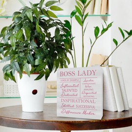 Boss Lady Gifts Office Desk Decor Boss Lady Office Decor Appreciation Gift for Women 6 X 6 Inch