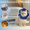 Maiiu Soft Adjustable Cat Cone Collar - Comfortable Recovery Collar