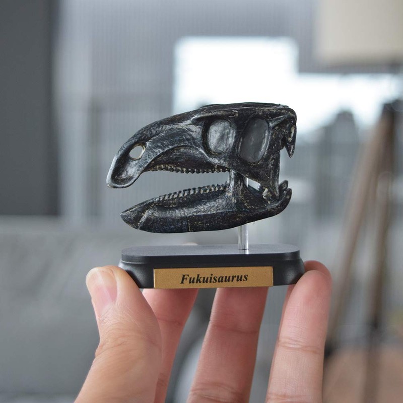 73511 Dinosaur hukuisaurusu Skull Mini Model (FDW – 511)