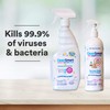 CleanSmart Nursery & High Chair Cleaner, 23 Ounce Bottle (Pack