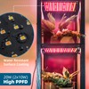 Barrina Grow Lights for Indoor Plants, 20W (2 x 10W)