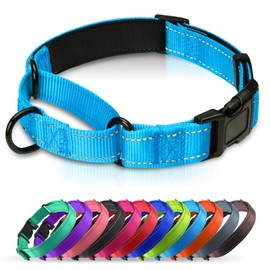 Erbine Padded Martingale Collar for Dogs | Neoprene Martingale Dog Collars | Reflective Nylon Martingale Collar | Adjustable Dog Martingale for Small Medium and Large Dogs