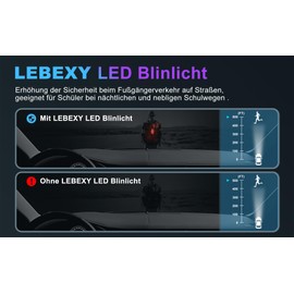 LEBEXY LED Flashing Light Safety Light Set of 2 | Three Light Modes | Safety Light for Children School Bag | Ideal Safety Warning Light for Prams, Cycling, Hiking, Camping, Pets, Red