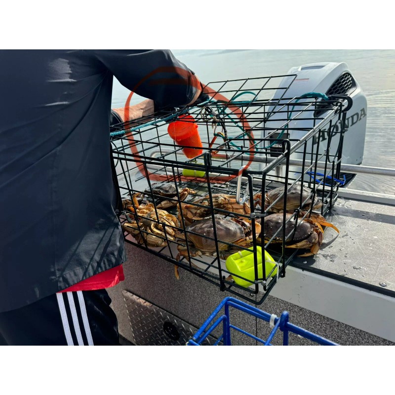 Bait Binder® - The 'Original' - Shrimp, Crab, Crawfish, Chum