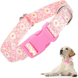 Small Dog Collar, Quick Release Plastic Buckle Girl's Dog Collar, Durable Pretty Floral Female Cat Collar for XS Small Medium Large X-Large Dogs Walking Training(daisy,L)
