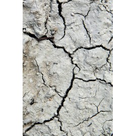 Happy Birthday Book: Happy Birthday Gifts Lined Journal Notebook (83) | Romantic Gift for Girlfriend/Boyfriend Friend Coworker Birthday Gifts | ... Funny Birthday Presents | Journal For Women