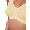 Eden House Ladies | Pack of 3 Bra Original Front