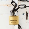 SEPOX 2-Pack Premium Solid Brass Padlock Keyed Alike, 1-9/16" 40mm