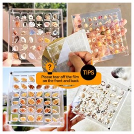 Acrylic Magnetic Seashell Display Box, Seashell Collection Box and Jewellery Display Box, Collection of Seashells for Display, Small Crafts Storage containers (36grids, Square), Transparent