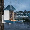 Bird Feeder with Camera, Smart AI Bird Identification & Solar