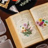 20/40 PCS Transparent Bookmarks for Dried Flowers,DIY Ransparent Dried Flower