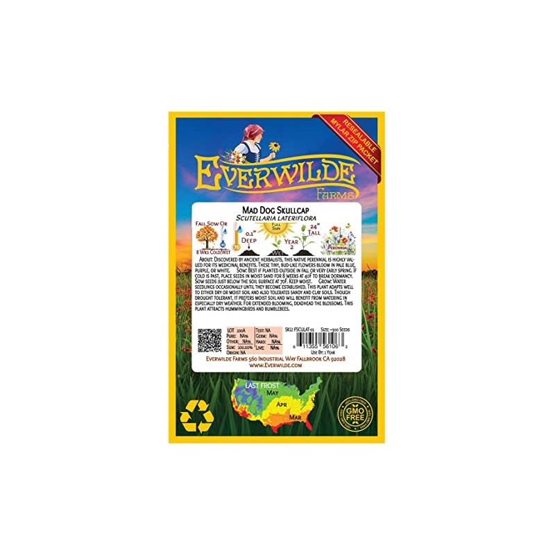 Everwilde Farms - 300 Mad-Dog Skullcap Native Wildflower Seeds -
