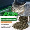 TZL Dried Catnip, Hierba Gatera Natural, Utilizada como Juguetes de