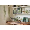 Tokyodo Artificial Flowers, Artificial Flowers, Thin Leaf Eucalyptus Bundle, Green,