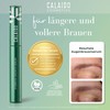 Calaido Eyebrow Serum Growth - Premium Eyebrow Serum for Naturally