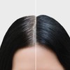 Verseo Grayban Hairspray Color Restorer for Gray Hair, Non-Dye Color
