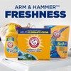 ARM & HAMMER Powder Laundry Detergent, Alpine Clean, 9.56 lb,