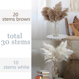 30 Stems 28" inch Tall Pampas Decor - Natural Dried Pampas, Brown & White Pompas Grass Fluffy, Dry Large Pampas Bulk for Living Decor, Boho Decor Floor,Party Wedding Decor, Gift(20 Brown & 10White)