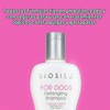BioSilk for Dogs Silk Therapy Detangling Dog Shampoo