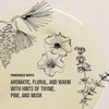 Davines OI Oil Aceite capilar multibeneficios antifrizz 135 ml