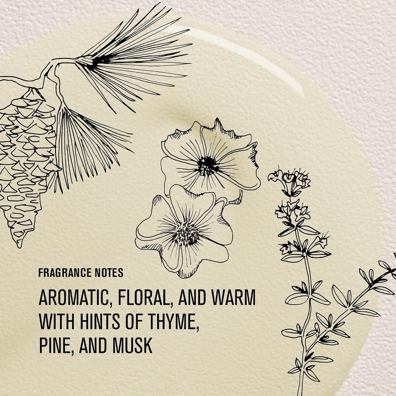 Davines OI Oil Aceite capilar multibeneficios antifrizz 135 ml