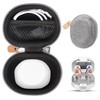 CaseSack Case for Hearing Aids compatible with Lentorgi, Earrck, XIYNBH