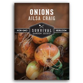 Ailsa Craig Onion Seed for Planting - 1 Packet with Instructions to Plant and Grow Long-Day Sweet Yellow Onions Your Home Vegetable Garden - Non-GMO Heirloom Variety - Survival Garden Seeds