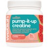 Wellah Pump-It-Up Creatine (100 Servings, Watermelon Slush) - Creatine Monohydrate