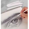 6Pcs Drawing Stumps,Blending Stumps and Tortillions Set, Art Blending Pencils