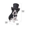 Boston Terrier with Top Hat - Spectacle and Bow Tie