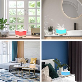 Ziranlee Humidifiers for Bedroom Large Room Baby Home Office Plant,800ml Quiet Aromatherapy Essential Oil Diffusers Cute Portable Ultrasonic Cool Mist Humidifier with Night Light Timer Auto Off