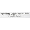 Jiva Organics RAW SPROUTED Organic Pumpkin Seed Butter 8-Ounce Jar
