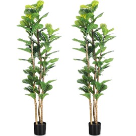 Jexine 2 Pack Artificial Fiddle Leaf Fig Tree with Black Planter, 5ft Tall Fake Tree with Natural Wood Trunk in Pot, Faux Ficus Lyrata Plant Fake Moss for Indoor Outdoor Office Home Decoration Gift