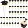 Glenmal 48 Sets 4ml Graduation Cupcakes Pipettes, Plastic Pipettes Dropper