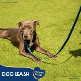 Good Scout 5' Heavy Duty Dog Leash for Large Dogs, Durable Walking & Training Leash for Puppies & Adult Dogs, D-Ring for Waste Bag Storage, Blue