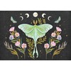 Luna Moth Note Cards (14 Cards, 15 Self-Sealing Envelopes)