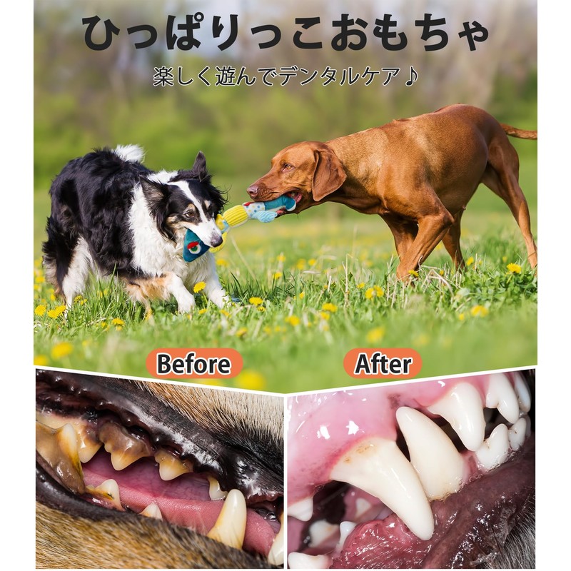 Flechazo Dog Toy Heavy Duty Sound Dog Plush Toy for